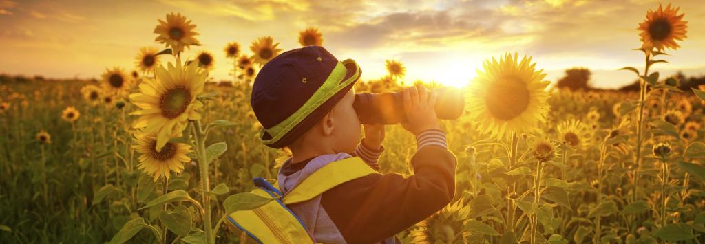 istock boy in sunflowerfield